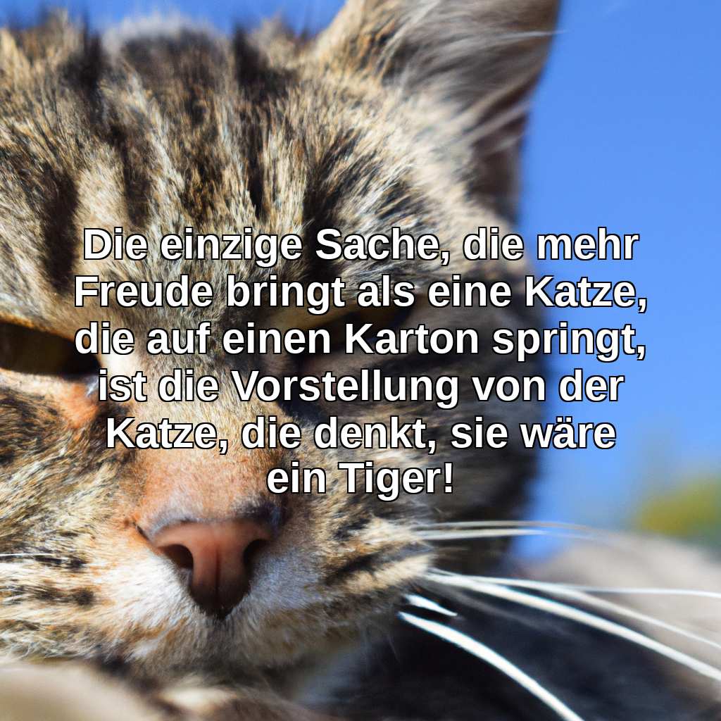 Die einzige Sache, die mehr Freude bringt als eine Katze, die auf einen Karton springt, ist die Vorstellung von der Katze, die denkt, sie wäre ein Tiger!