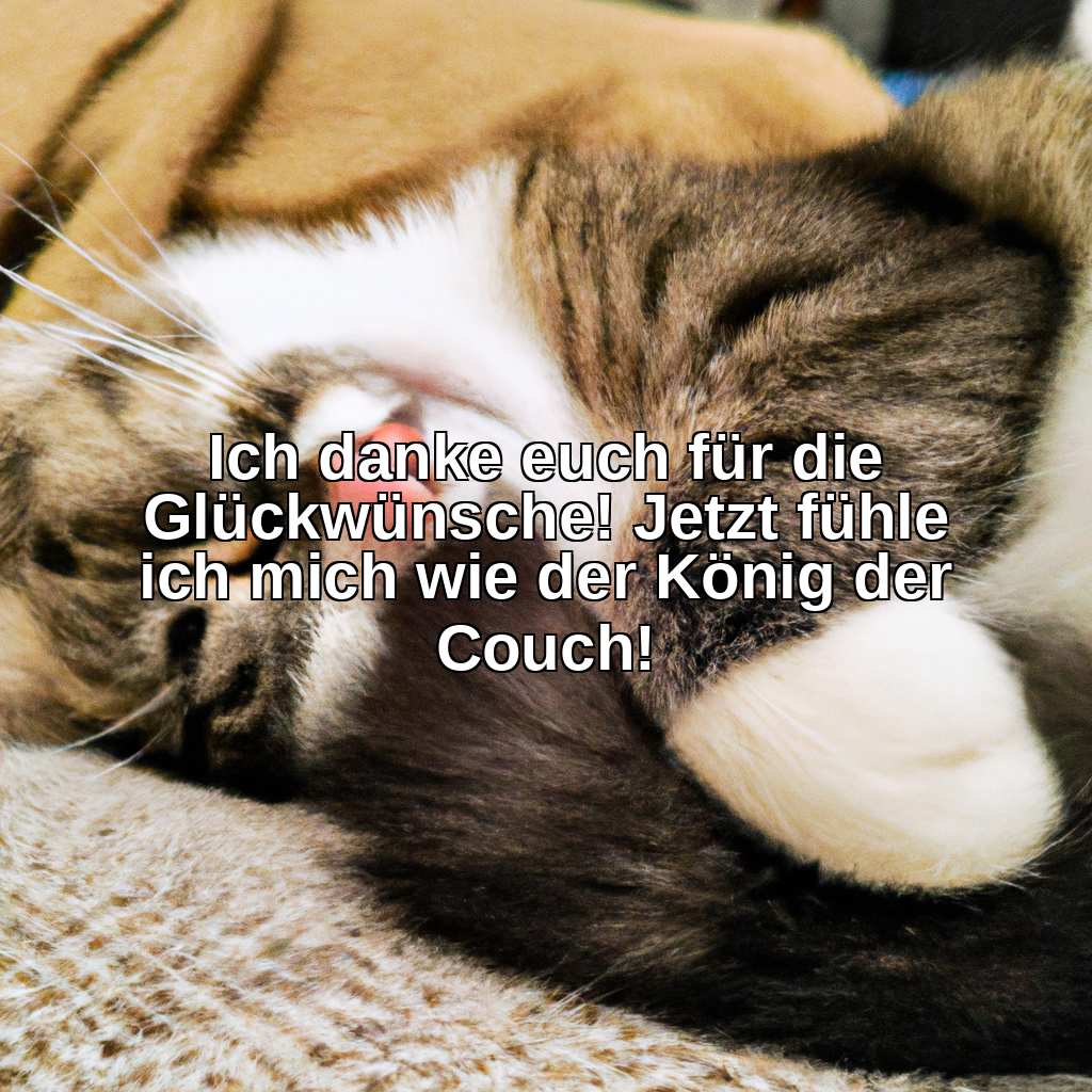 Ich danke euch für die Glückwünsche! Jetzt fühle ich mich wie der König der Couch!
