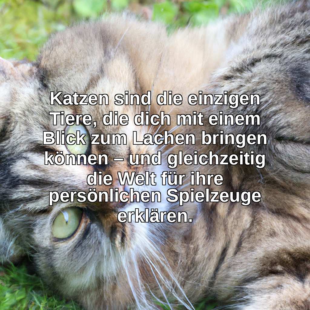 Katzen sind die einzigen Tiere, die dich mit einem Blick zum Lachen bringen können – und gleichzeitig die Welt für ihre persönlichen Spielzeuge erklären.