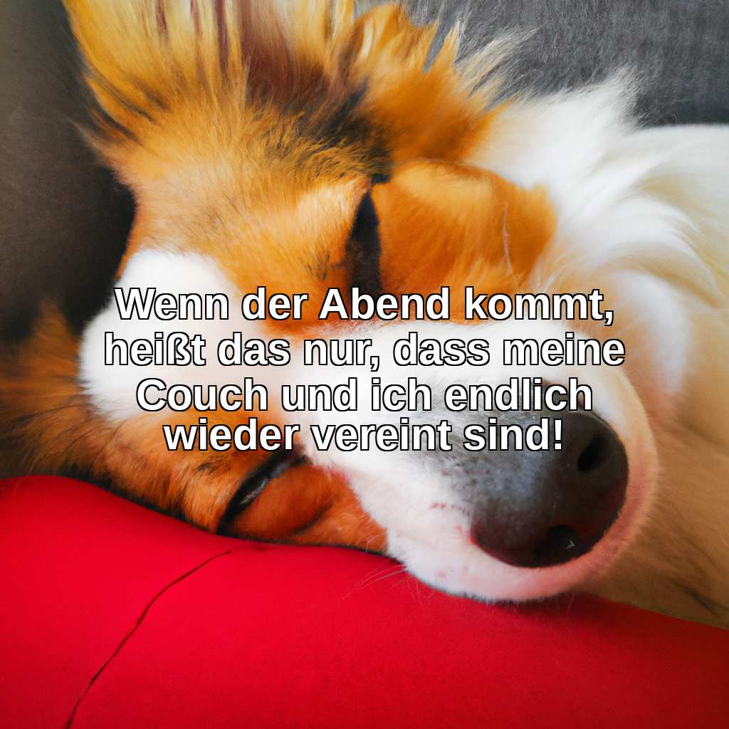 Wenn der Abend kommt, heißt das nur, dass meine Couch und ich endlich wieder vereint sind!